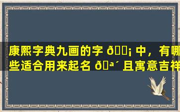 康熙字典九画的字 🐡 中，有哪些适合用来起名 🪴 且寓意吉祥如意